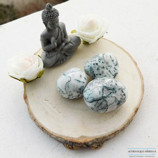 Pierre roulée agate mousse