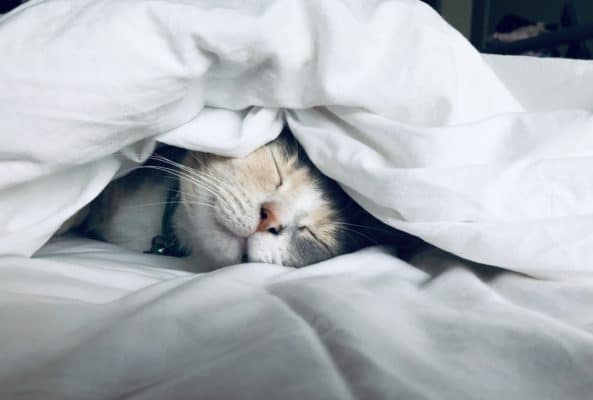 Mieux dormir avec la lithotherapie