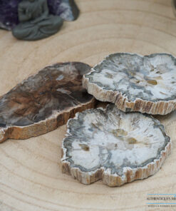 Bois fossile